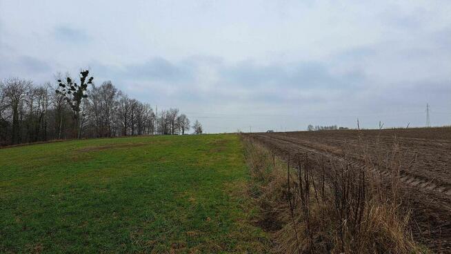 walce działka rolna z możliwością zabudowy