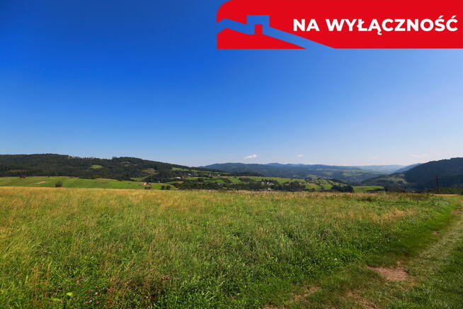 Działa w Grywałdzie z możliwością uzyskania WZ