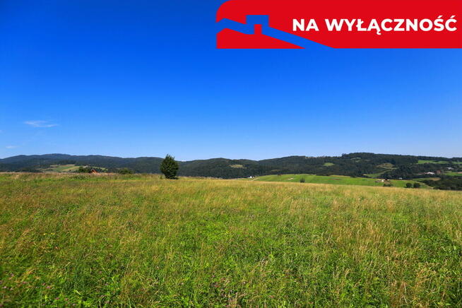 Działa w Grywałdzie z możliwością uzyskania WZ