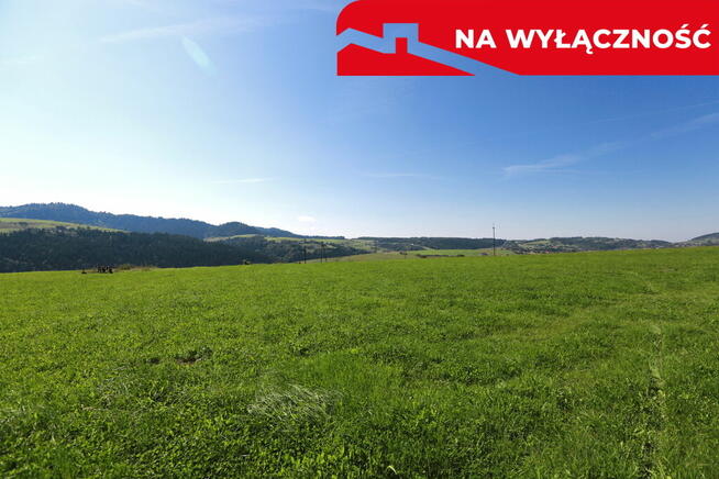 Działa w Grywałdzie z możliwością uzyskania WZ