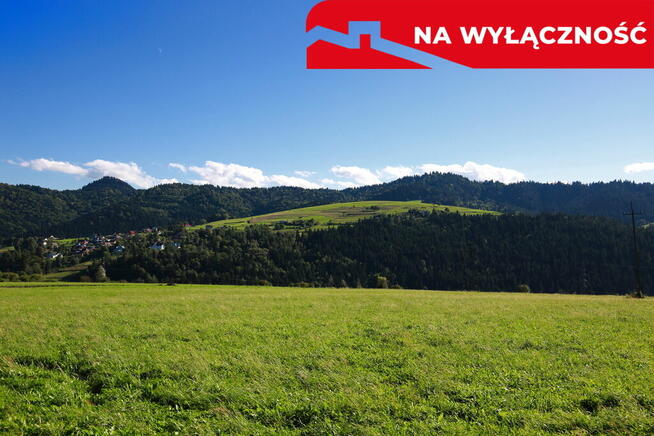 Działa w Grywałdzie z możliwością uzyskania WZ