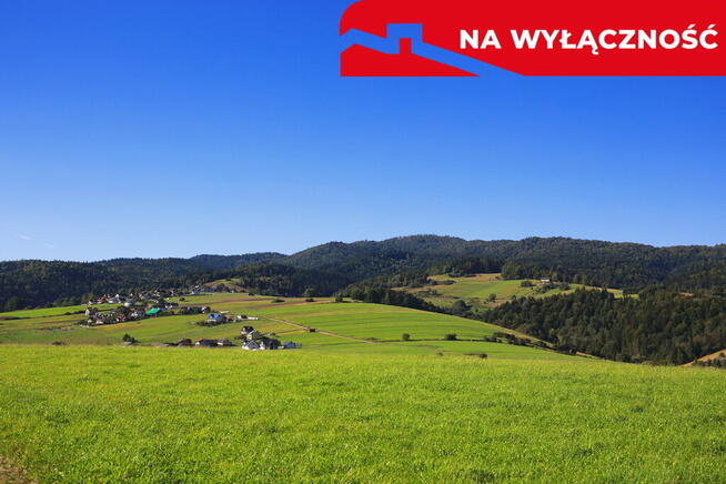 Działa w Grywałdzie z możliwością uzyskania WZ