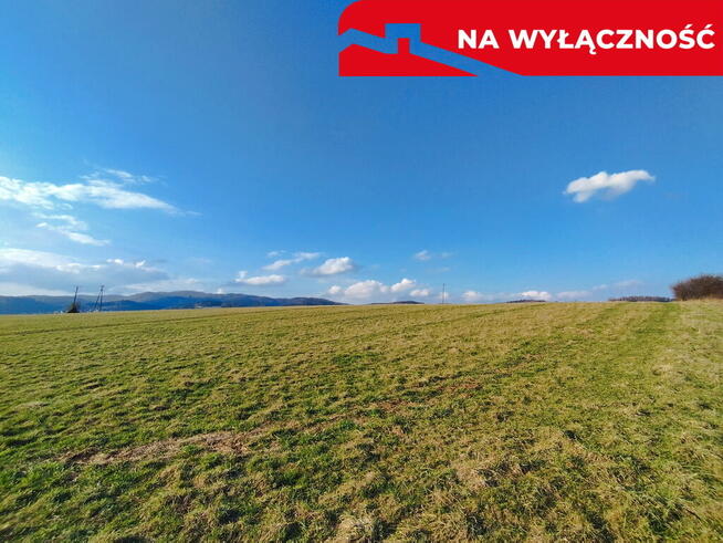 Działa w Grywałdzie z możliwością uzyskania WZ