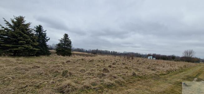 Działka rolna Bieruń, Starowiślana