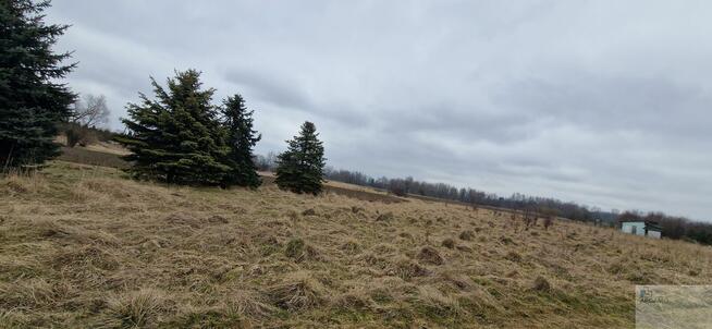 Działka rolna Bieruń, Starowiślana