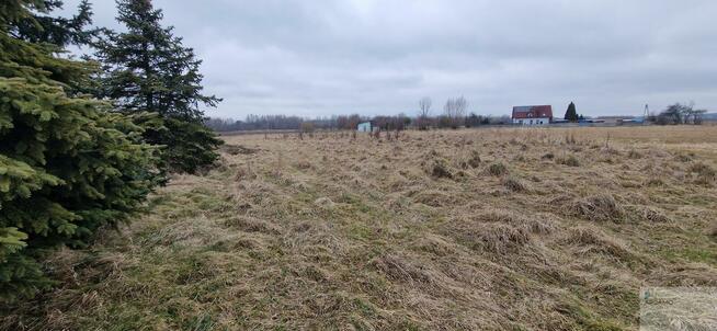 Działka rolna Bieruń, Starowiślana