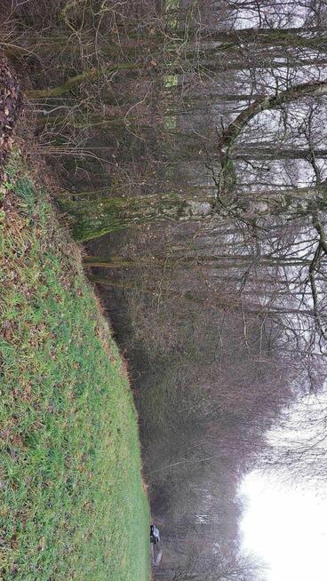 walce działka rolna z możliwością zabudowy