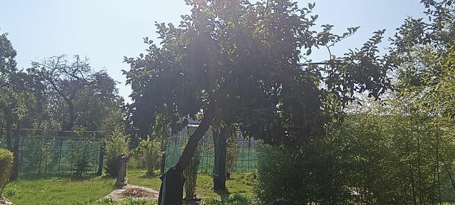 ROD Wisienka Wrocław