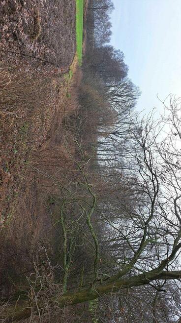 walce działka rolna z możliwością zabudowy