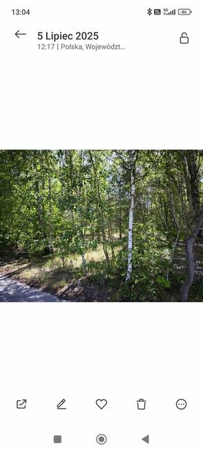 Działka rolna z warunkami zabudowy siedlisko