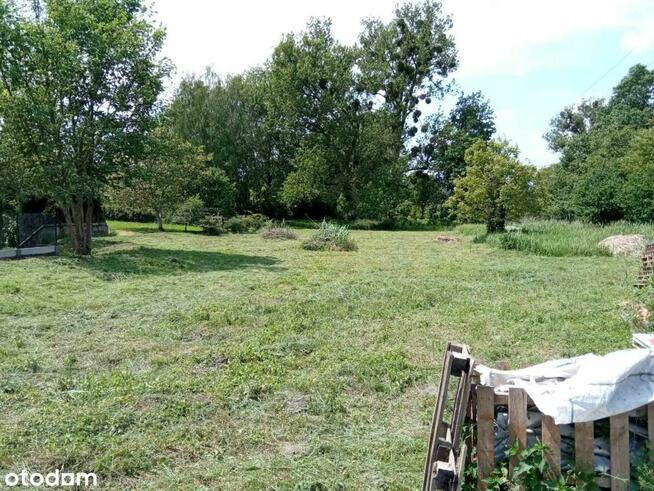 Witam ofertę usługi koszenie trawy