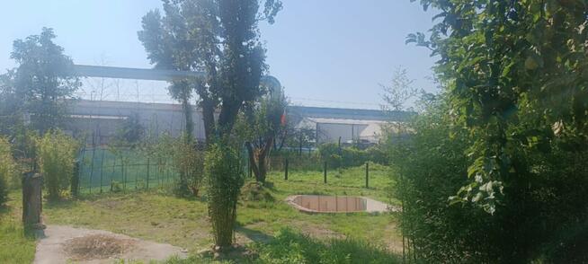 ROD Wisienka Wrocław