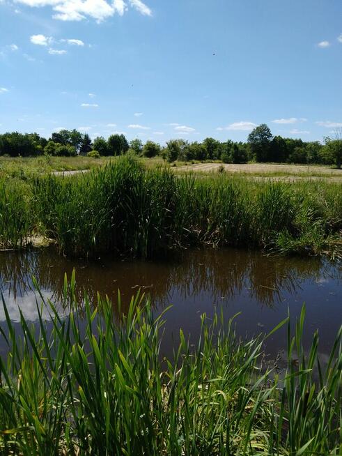 Siedlisko, Posesja Dom, Gospodarstwo Dom Szybka Sprzedaż !!
