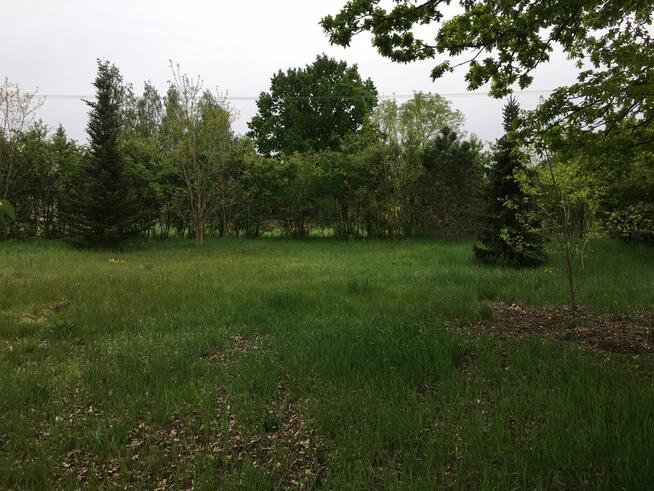 SIEDLISKO- Atrakcyjna nieruchomość blisko W-wy 4700 m2 !