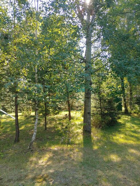 Sprzedam domek letniskowy