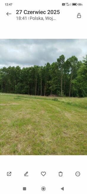 Działka przy lesie