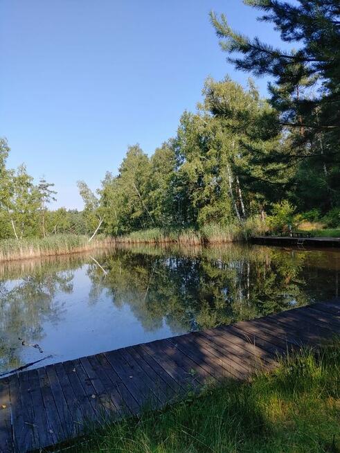 Sprzedam domek letniskowy