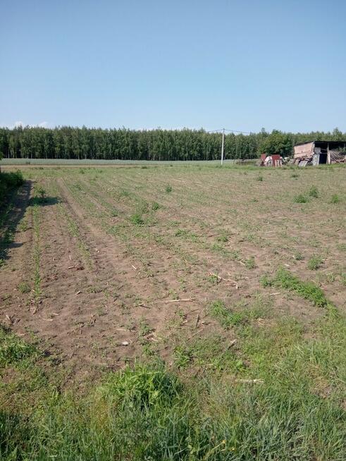 Działka Rolna