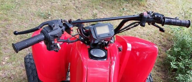 Quad bashan shinerey 200