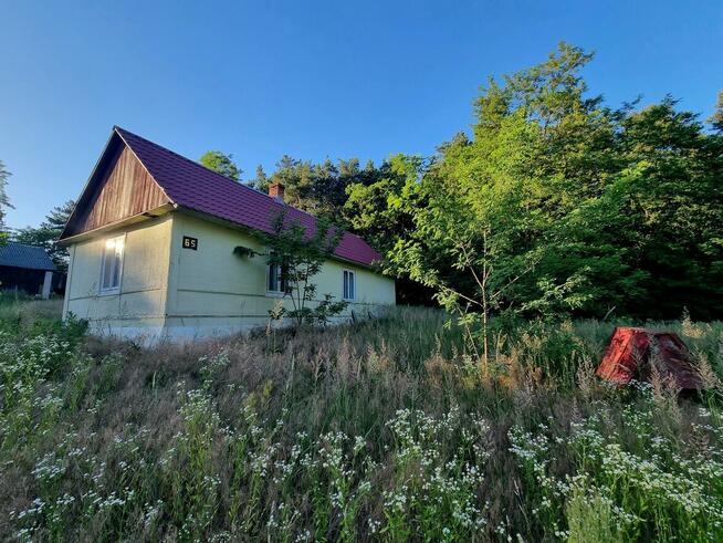 Na sprzedaż wyjątkowe siedlisko w Łanach