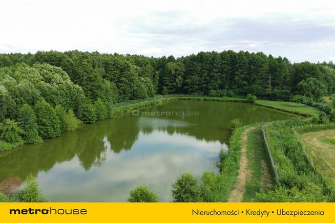 Działka 0,9 ha ze stawem – dobra inwestycja!