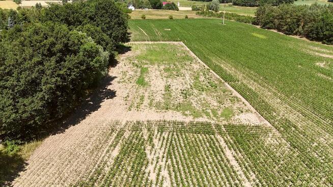 Działka z W.Zabudowy w Radzanku –Gm.Maszewo