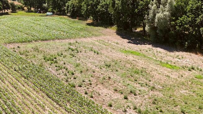 Działka w Radzanku–Gm.Maszewo war.zabud.