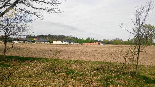 Działka rolna Helenka gm. Młodzieszyn,