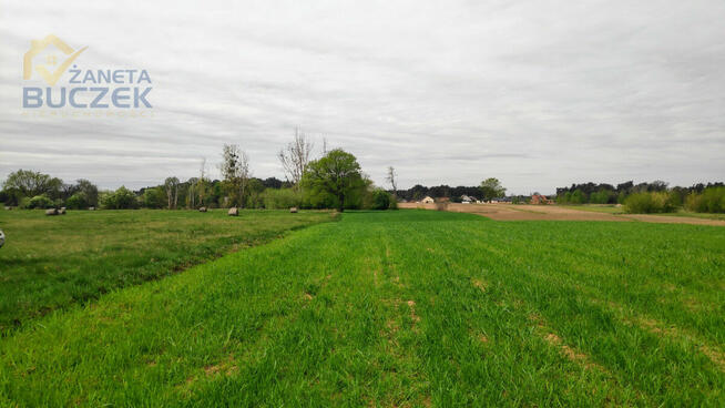Działka rolna Helenka gm. Młodzieszyn,
