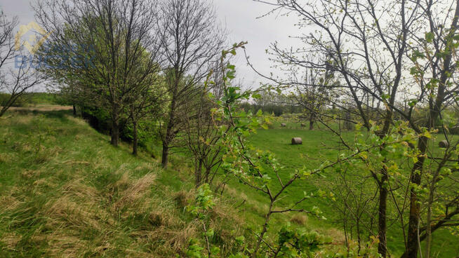 Działka rolna Helenka gm. Młodzieszyn,