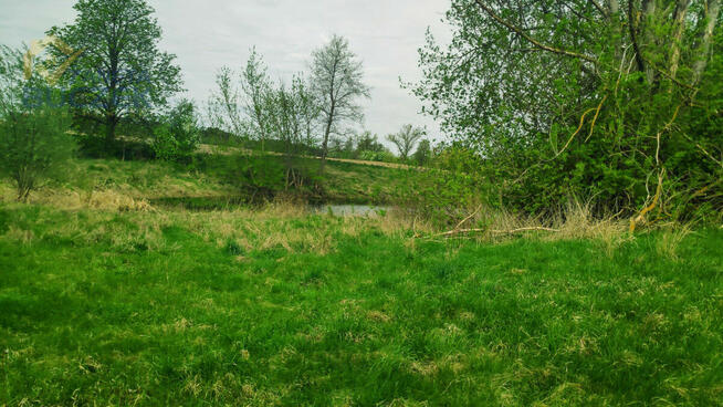 Działka rolna Helenka gm. Młodzieszyn,