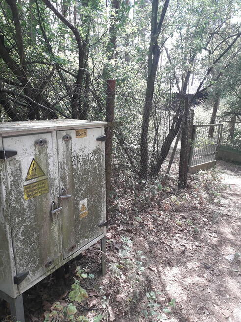 Leśna działka budowlana nad Pilicą