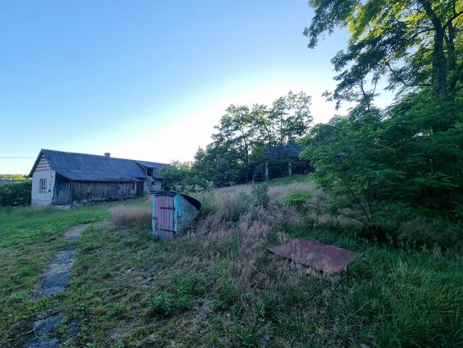 Na sprzedaż wyjątkowe siedlisko w Łanach