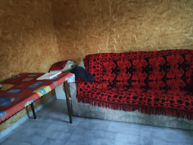 Działka rekreacyjna ROD Jaroszowka, Białystok