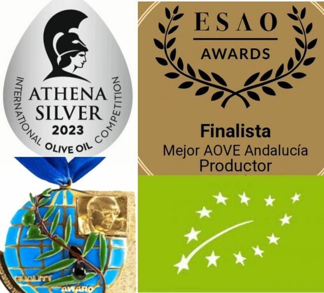 Zielona Ekologiczna Oliwa z oliwek extra virgin hojiblanca