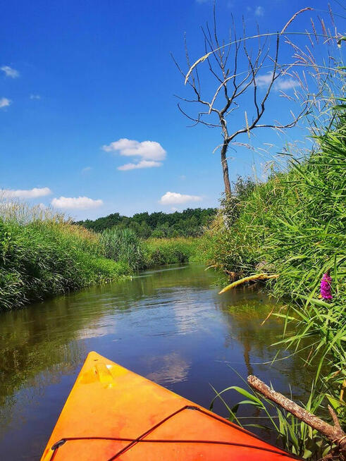 Na sprzedaż działka 5617 m² – Gołków (gm. Piaseczno) – in