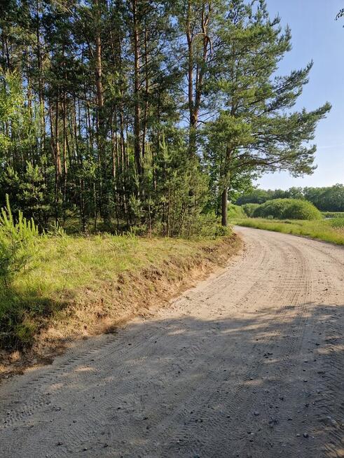 Działka w Kaliska , ponad 1 hektar okazja