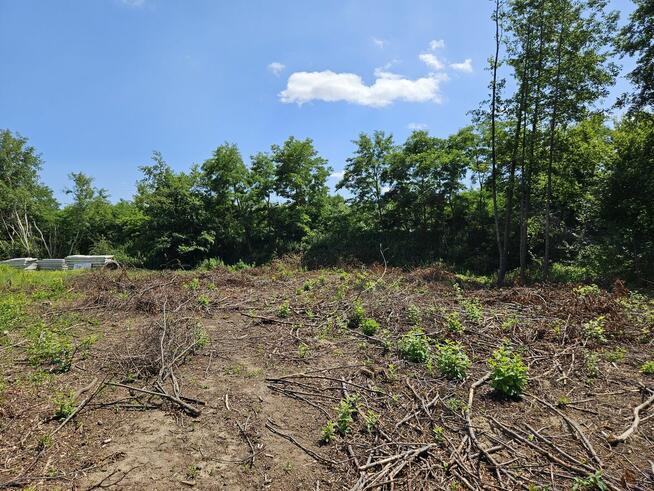 Działka na sprzedaż- 14,21a- Pustynia/ Dębica