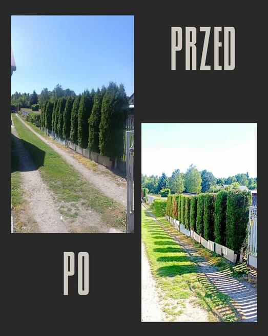 Usługi ogrodnicze koszenie aeracja Wertykulacja