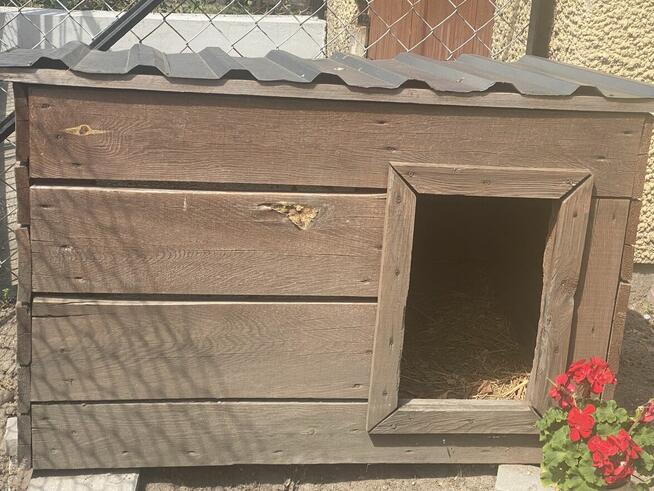 Mam do sprzedaży dwie budy dla dużych pupli