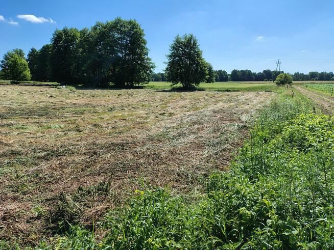 Ostatnie działki w Osieku n/ Wisłą