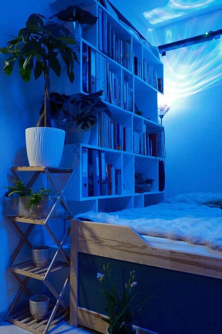 przytulne mieszkanie na wynajem