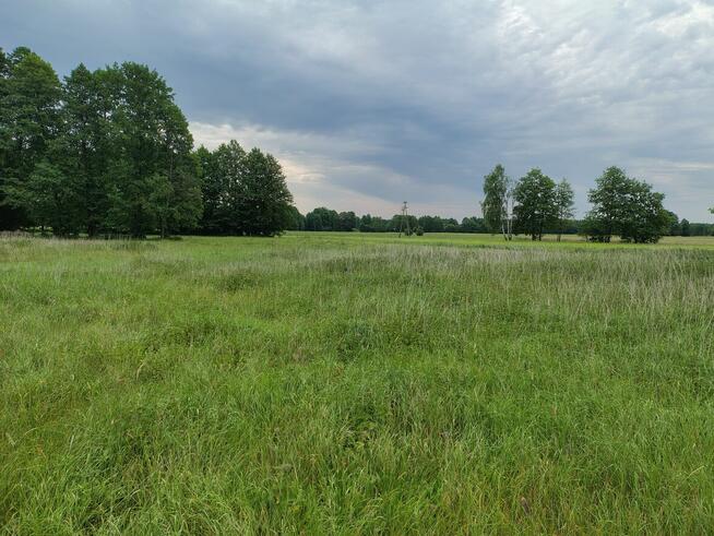 Ostatnie działki w Osieku n/ Wisłą