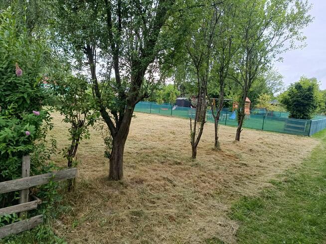 Działka Rod Hortensja Kielce