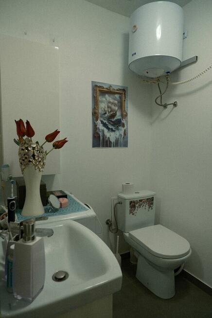 przytulne mieszkanie na wynajem