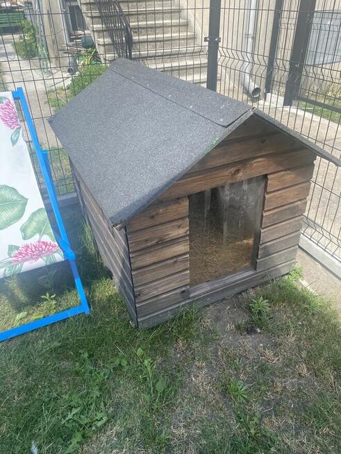 Mam do sprzedaży dwie budy dla dużych pupli