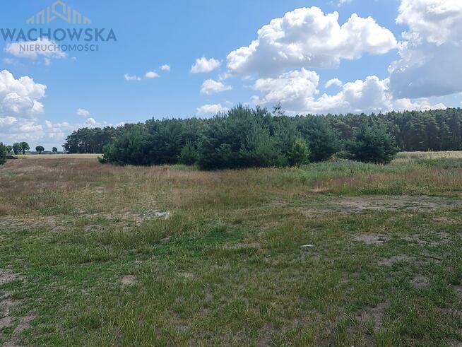 Działka budowlana Głogusz gm. Sulechów