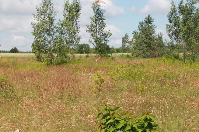 Działki budowlane z mediami koło Pomiechówka