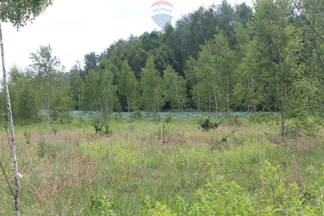 Działki budowlane z mediami koło Pomiechówka