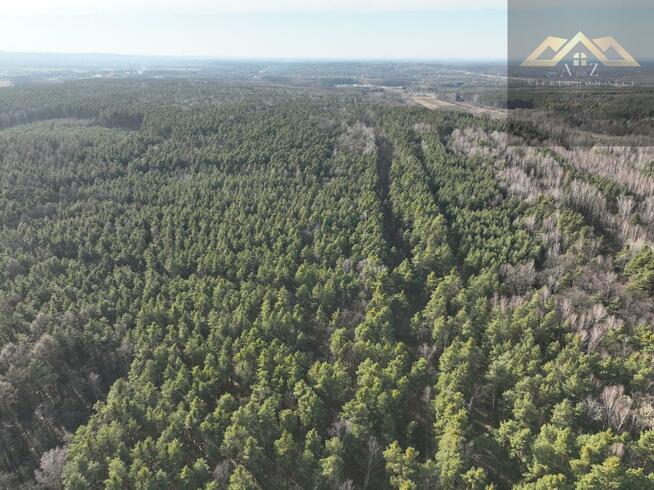 Działka leśna Perła gm. Dębno